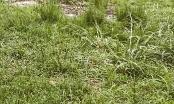 Imagem: Lote/Terreno para venda possui 432 metros