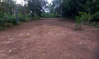 Imagem: VENDO TERRENO IRANDUBA