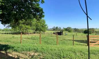 Imagem 7: Sítio dentro da cidade ótimo pra loteamento em Rio Preto - Próximo do Vila Azul!