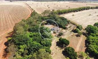 Imagem 6: Hidrolândia - Fazenda de 15 Alqueires codigo: 149884