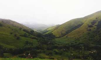 Imagem 4: Chácara em Adrianópolis - PR - 24.000m2