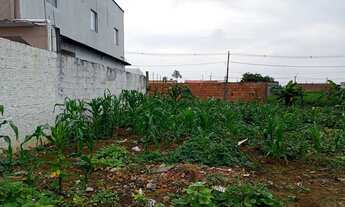 Imagem 3: Repasse no Nova Manaus