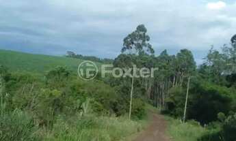 Imagem 4: Fazenda / Sítio / Chácara à venda Rodovia TF-10, Passo Fundo - Triunfo