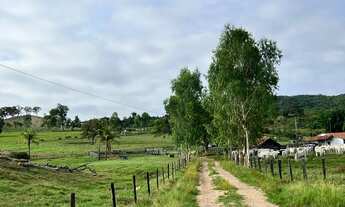 Imagem 3: Fazenda à venda 132 alqueires em Goiás-GO