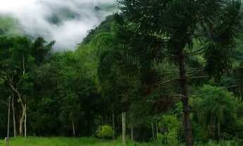 Imagem 3: Chácara em Adrianópolis - PR - 24.000m2