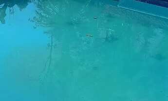 Imagem 3: Chacara no Coxipó do Ouro