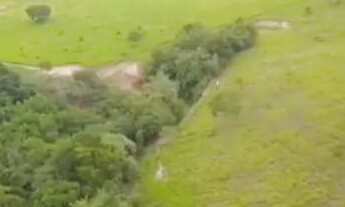 Imagem 3: Vende se linda chácara com 68 mil metros toda formada em alexania go 11 km da cidade