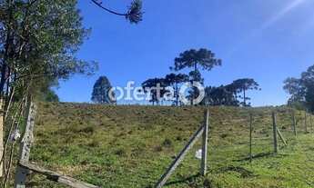 Imagem 2: Terreno no Costeira / Araucária - 23.222m2