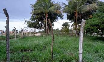 Imagem 4: Vendo Lote imperdível