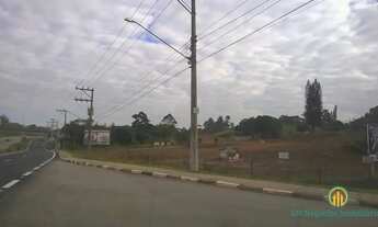 Imagem 4: Espetacular área na Raposo Tavares km 43,5 sentido interior z. mista