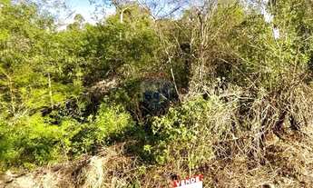 Imagem 5: TERRENO LOTE 03 CENTRO