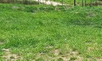 Imagem 2: CHÁCARAS planas, registradas com 1000Mts, 2x= de R$10.000,00 mais parcelas