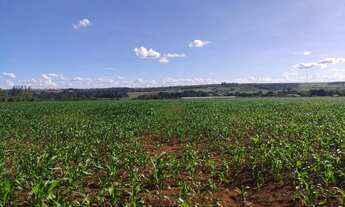 Imagem 4: Vendo o melhor sítio da região da Taquara DF