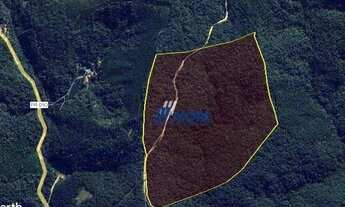 Imagem 2: Ótima área a venda Campo Largo 11,8 alqueires R$ 280.000