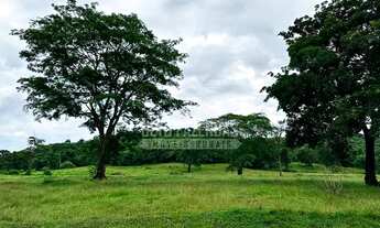 Imagem 3: Fazenda/Sítio/Chácara para venda com 5614400 metros quadrados