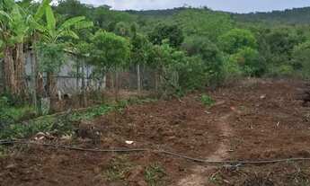 Imagem 4: Fazendinha 25 Alqueires 25 Minutos de Montes claros/Ótima Localização.