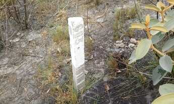 Imagem 2: Terreno 3 hectares