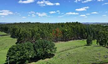 Imagem 4: Sítio à Venda em São Francisco de Paula!