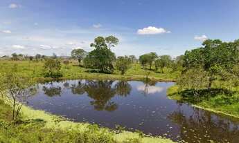 Imagem 2: FAZENDA EM IPIRÁ - 1000 TAREFAS