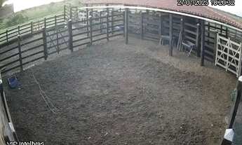 Imagem 3: FAZENDA EM IPIRÁ - 1000 TAREFAS