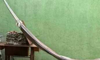 Imagem 5: VENDE-SE EM ICOARACI (D