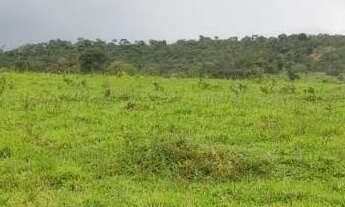 Imagem 3: Fazenda a venda em - Nova Aurora - Goiás