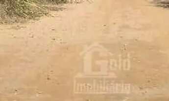 Imagem 3: Fazenda de 72 alqueires na cidade São Simão-SP