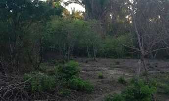 Imagem 4: Terreno para sitio