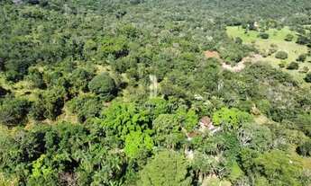 Imagem 4: Fazenda à Venda com 20 alqueires - Hidrolândia