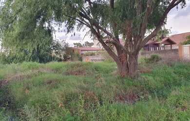 Imagem 2: Requinte oferece