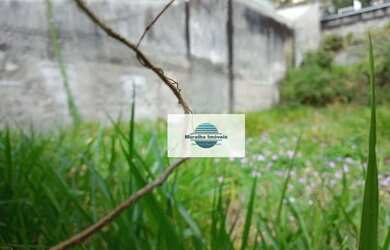 Imagem 3: Terreno à venda, 287 m² por R$ 640.000,00 - Vila Guedes - São Paulo/SP