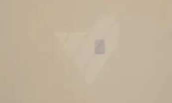 Imagem 6: Reserva do Arvoredo