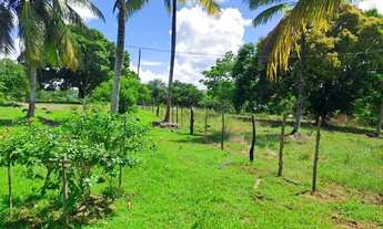 Imagem 3: Lote à venda em rua pública, JARDIM, Nossa Senhora do Socorro, SE