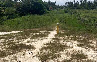 Imagem 4: Sítio em Piacabucu