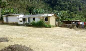 Imagem 7: Sítio com nascente em Guaçuí, produzindo ao lado da cidade