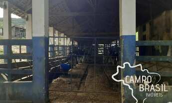 Imagem 7: Fazenda no Sul de Minas com 600mil pés de café e estrutura para leite!