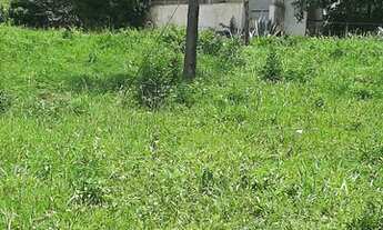 Imagem 3: FAZENDA TERRENO EM DIVINO CARANGOLA