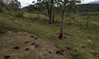 Imagem 3: Sitio em silva jardim entre embau e gavioes