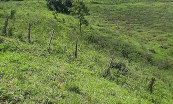 Imagem 2: FAZENDA TERRENO EM DIVINO CARANGOLA
