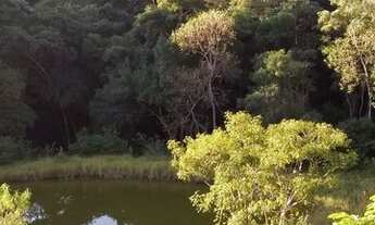 Imagem 5: Sítio 15 alqueires no Bairro dos Arrudas em Itapetininga-SP!!!!
