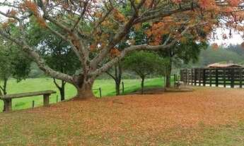 Imagem 4: Sítio 15 alqueires no Bairro dos Arrudas em Itapetininga-SP!!!!
