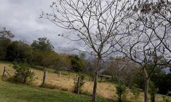 Imagem 4: Casa para aluguel possui 80 metros quadrados com 2 quartos em Lomba Grande - Novo Hamburgo