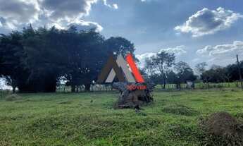 Imagem: Excelente lotes à venda!