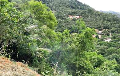Imagem 7: TERRENO NA BEIRA DO RIO JUCU - 3,500mts2
