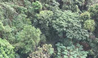 Imagem: Somente hj apto maravilhoso