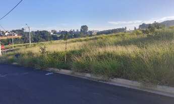 Imagem 4: Terreno Jardim Letícia