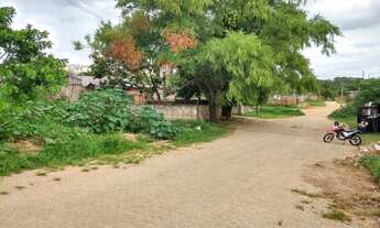 Imagem: Lote/Terreno para venda tem 350 m² em Maria