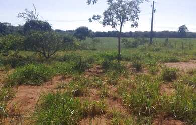 Imagem 5: Chácara de 4.7 hectares. 23 km de Campo Grande