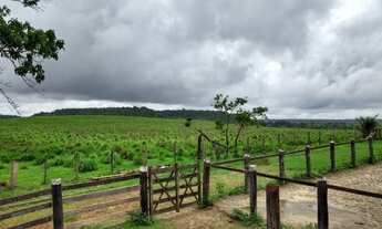 Imagem 3: 600 alqueires com 300 alqueires de abertura no Pará dupla aptidão