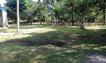 Imagem 6: Chácara na beira da pista